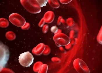 Más de 1.5 millones de personas en el mundo salvaron sus vidas con trasplantes de células cauce hematopoyéticas