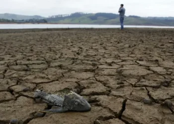 ¿Qué es la oscilación de Madden & Julian y qué tiene que gozar con las inundaciones y sequías que acechan a Colombia?