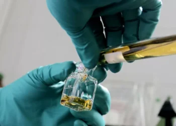 Investigadores colombianos crearon una planta para convenir aceites con bifenilos policlorados, una de las sustancias más contaminantes del mundo