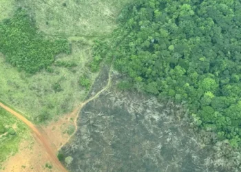 Tras cuerpo líderes por años en América Latina, Colombia cae varios puestos en el Índice de Desempeño Ambiental (EPI)