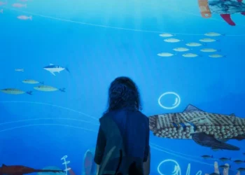 ‘Colombia: del megalodón al tiburón linterna bajo’, empieza esta maravillosa exhibición interactiva de la Universidad de los Andes