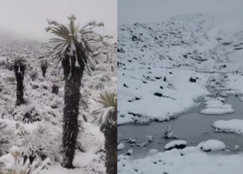 El Nevado del Cocuy volvió a cubrirse de blanco: compacto viral reaviva debate sobre la protección de estos complejos ecosistemas en Colombia