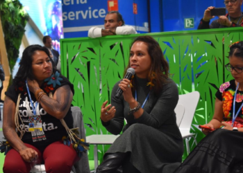 ‘La COP es un lugar donde cada tiempo vemos más personas y menos resultados. Es un superficie de frustración para los pueblos indígenas’