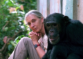 Muere Jane Goodall, pionera en el estudio de los chimpancés y referente universal en la lucha ambiental