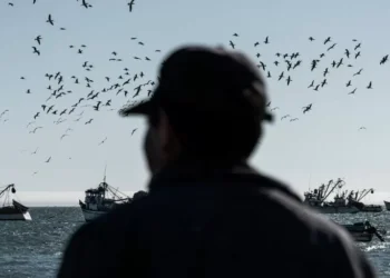 Piratas de Ecuador y Perú: el valeroso logístico del narcotráfico detrás de las extorsiones a pescadores artesanales