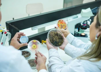 Investigación busca devolver la carrera a suelo degradado con el uso de microorganismos