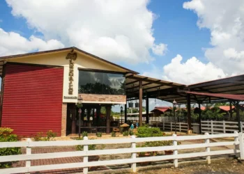 Expocarne del Caribe 2025 se realizará en Montería: fecha, lugar y agenda