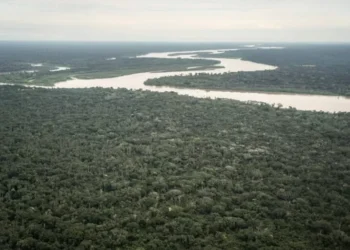¿Qué amenazas enfrentan las áreas protegidas recién creadas en el Perú? | PODCAST