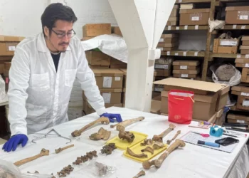 Investigación bioantropológica en el Museo Fonck aporta nuevas miradas sobre cazadores recolectores en Chile sustancial