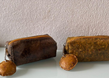 Innovación sostenible: jóvenes colombianos convierten desechos de frutas en monederos ecológicos