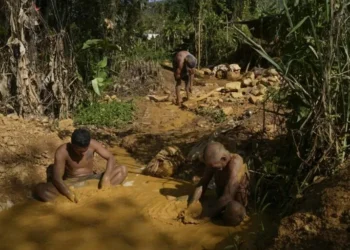 Grupos armados, bandas criminales y élites militares participan en el saqueo ilegal de fortuna en Venezuela | INFORME