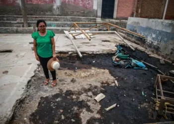 ¿Han sido las demandas colectivas y acciones civiles legales efectivas para la conservación de la Amazonía? | LIBRO