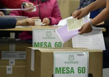 Elecciones de los Consejos Municipales y Locales de verdor: todo lo que necesitas saber