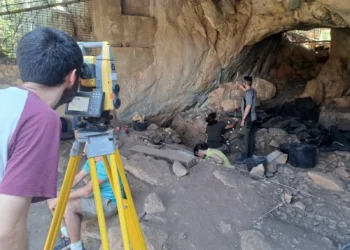 Hallan nuevas piezas líticas, fauna y restos de construcciones en las excavaciones en yacimientos valencianos