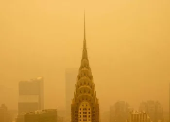 ‘El mundo está enfermo’: capaz advierte que se cruzaron los límites planetarios y que quedan pocos años para librarse un daño irreversible
