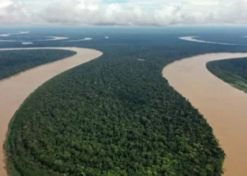 Brasil aprueba perforación petrolera red de río Amazonas antes de la COP30