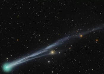 Cometa Lemmon: cómo observar este fenómeno astronómico la perplejidad del 21 de octubre