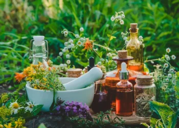 Fitopreparados para alergias: medicina alternativa para las alergias estacionales