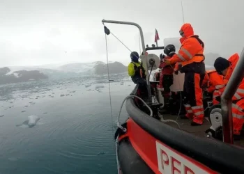 Efecto saltamontes: la ataque climática libera contaminantes del pasado atrapados en el hielo de la Antártida