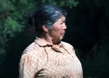 Julia Chuñil, la defensora del frondosidad mapuche en Chile, que lleva casi un año desaparecida