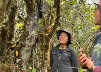 espina científica construye espina gran librería acústica sobre qué nos dicen los sonidos de la naturaleza en Perú | ENTREVISTA