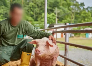 Ecuador: informe del BID admite que financió a una administración que contaminó el territorio indígena tsáchila por más de 30 años