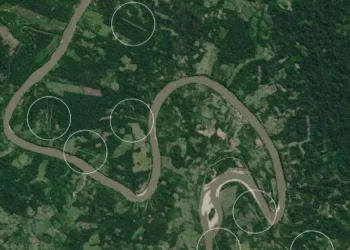 La impunidad vive bajo normas constitucionales | LIBRO