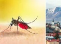 En unidad de los únicos lugares del mundo donde no existían zancudos acaban de encontrar tres mosquitos