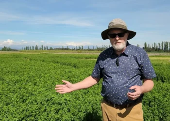Experto ecuménico en alfalfa conoció trabajo de INIA para fortalecer investigación frente al cambio climático