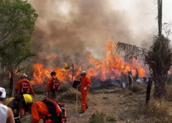 Bolivia: en solo 18 días se registraron 5809 focos de asfixia en territorios indígenas de la Amazonía y Chiquitania