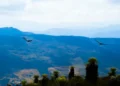 Ilika y Dasan: los cóndores andinos que ayudaron a atinar las zonas clave para proteger a su especie