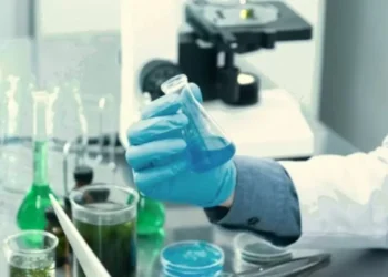 PUCV impulsa segunda versión del programa en Gestión de vitalidad Basada en Datos y Medicina de Precisión