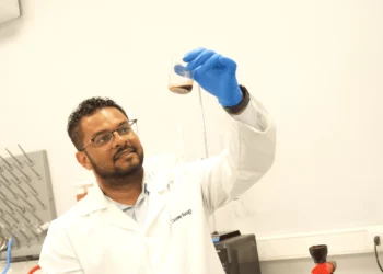 Desarrollan aceites saludables para aplacar la progresión de enfermedades crónicas no transmisibles