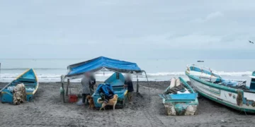 Las pescadoras que abandonaron el océano: en Ecuador, los piratas y narcotraficantes han desplazado a las mujeres de su oficio