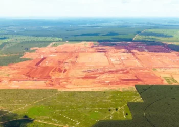 Brasil: espina empresa chilena de celulosa con historial de contaminación se asienta en un área prioritaria para la conservación del Cerrado