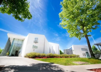 Universidad de Talca se adjudicó dos proyectos Anillo de Investigación