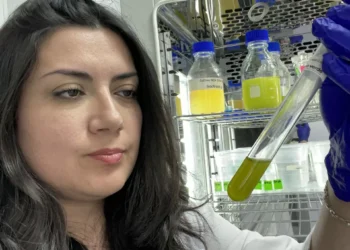 Investigación estudia respuestas toxicológicas de microalga expuesta a nanopartículas de dióxido de titanio